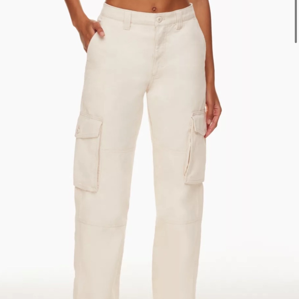 Aritzia Cargo Pants